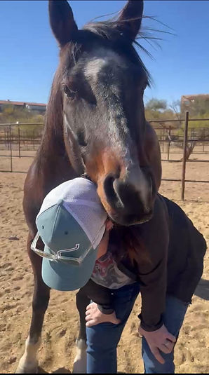 horses partnering for purpose