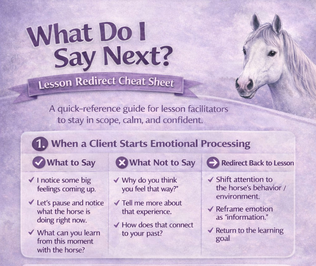 What Do I Say Next? Redirection Scripts for all Equine Facilitators