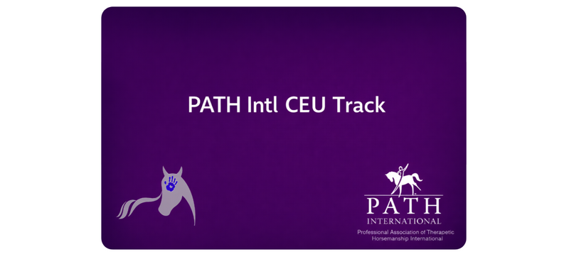 Partnering and working with horses in mentorship program and workshop