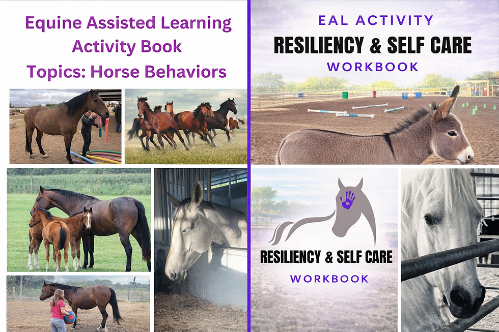 Thumbnail: Summer Special: EAL Activity Bundle | 4 Digital Workbooks