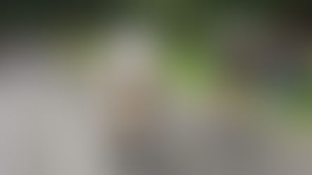 Yeah, Kona baby! ….an athletes view and race tips.