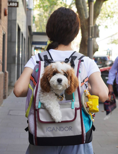 iCANDOR COZY PET TRAVEL CARRIER BACKPACK BLACK M | CutiePawty