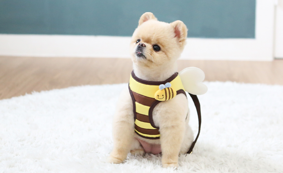 Thumbnail: HONEY BEE PET HARNESS