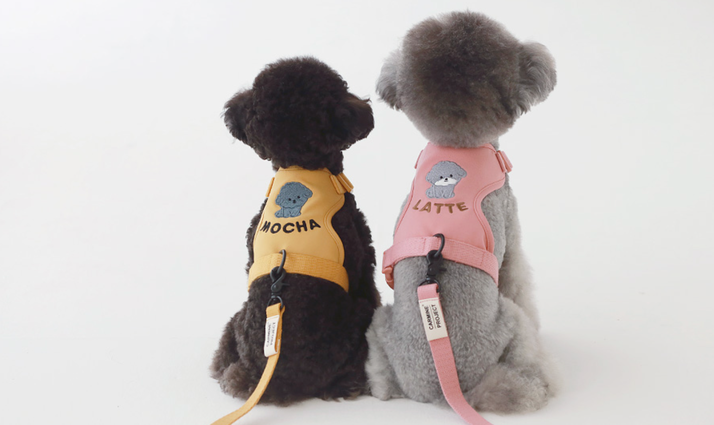 MACARON CUSTOM HARNESS