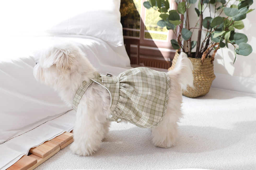 Thumbnail: CHECK BALLOON DRESS OLIVE XL