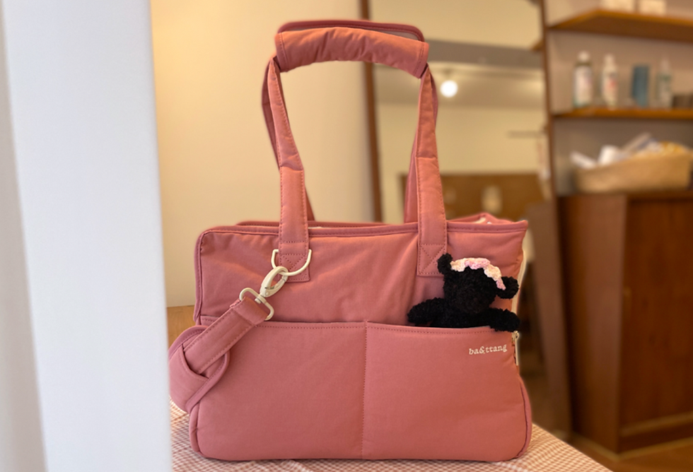 Thumbnail: BATTANG CHECK TWO IN ONE PET CARRIER BAG