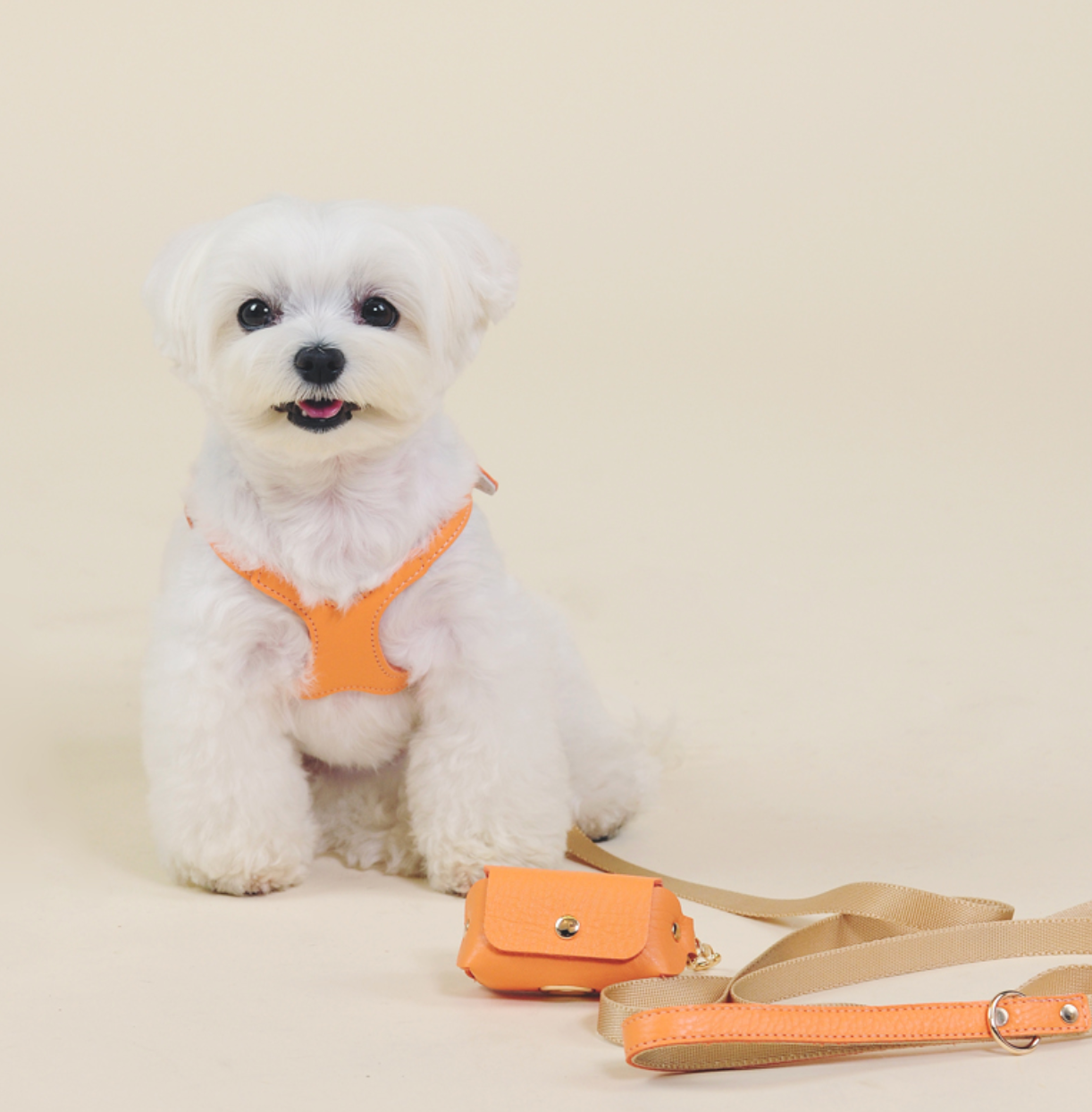 FINE POTTERY HARNESS L