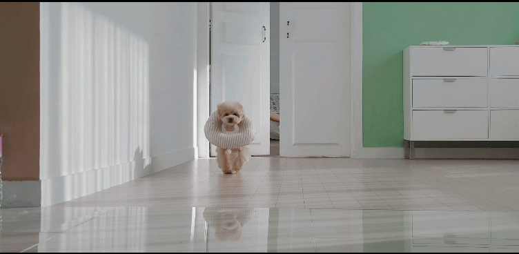 Thumbnail: ORGANIC HOME CARE NECK COLLAR