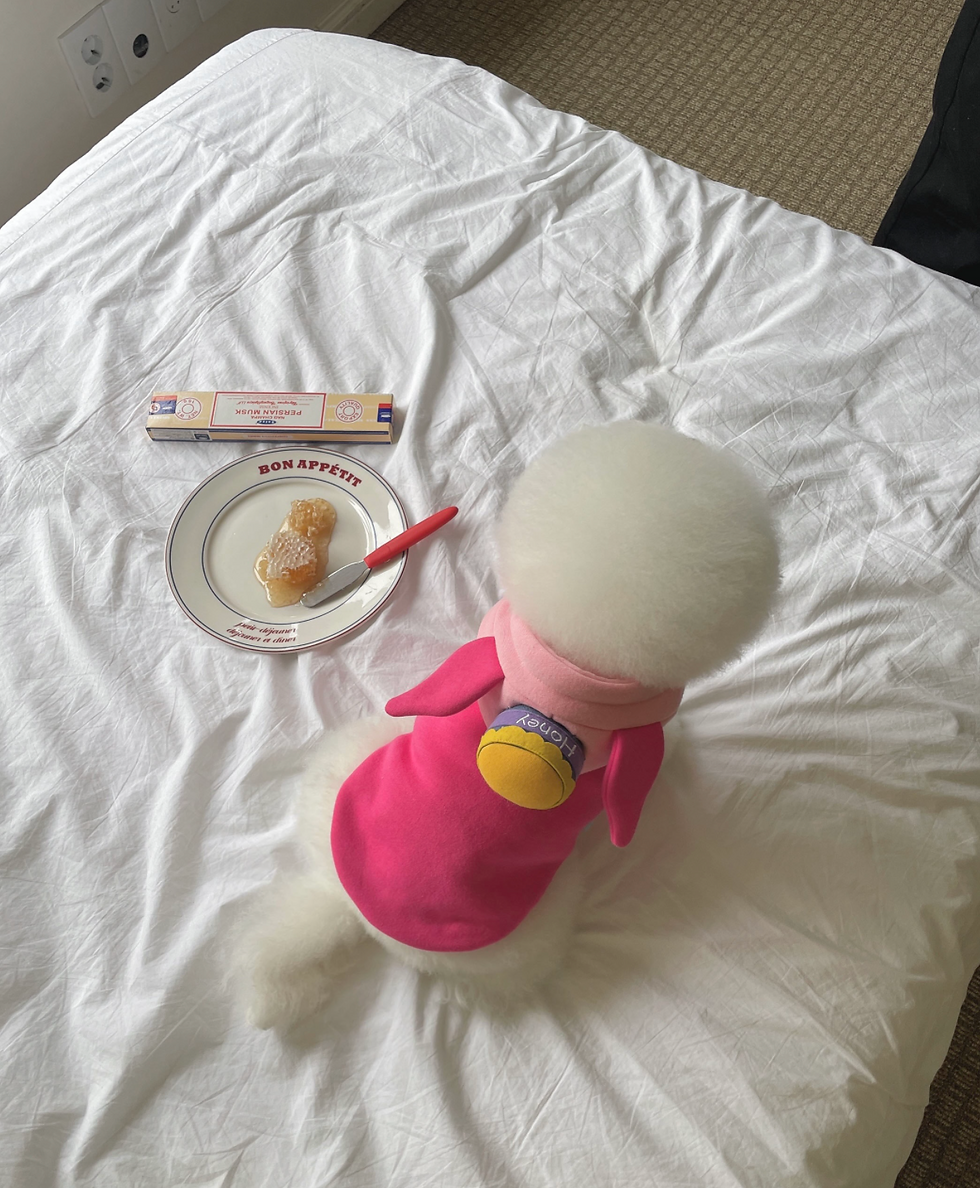 Thumbnail: HONEY PIGGY M