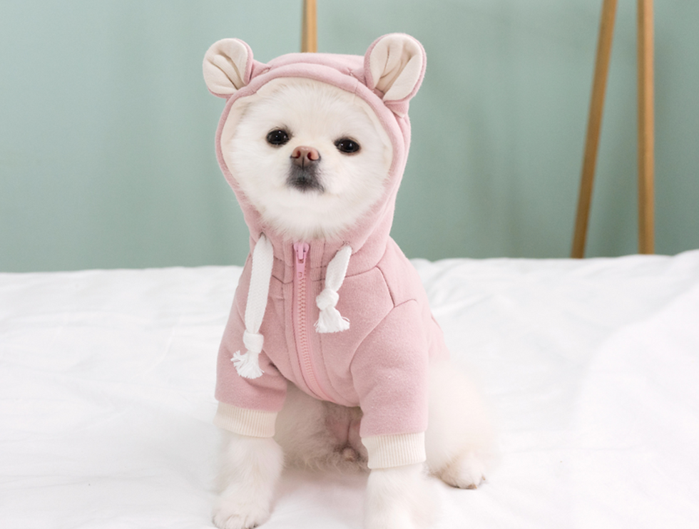 TEDDY HOODED ZIP-UP RED M