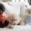 Thumbnail: TEDDY BEAR SOFT KNIT