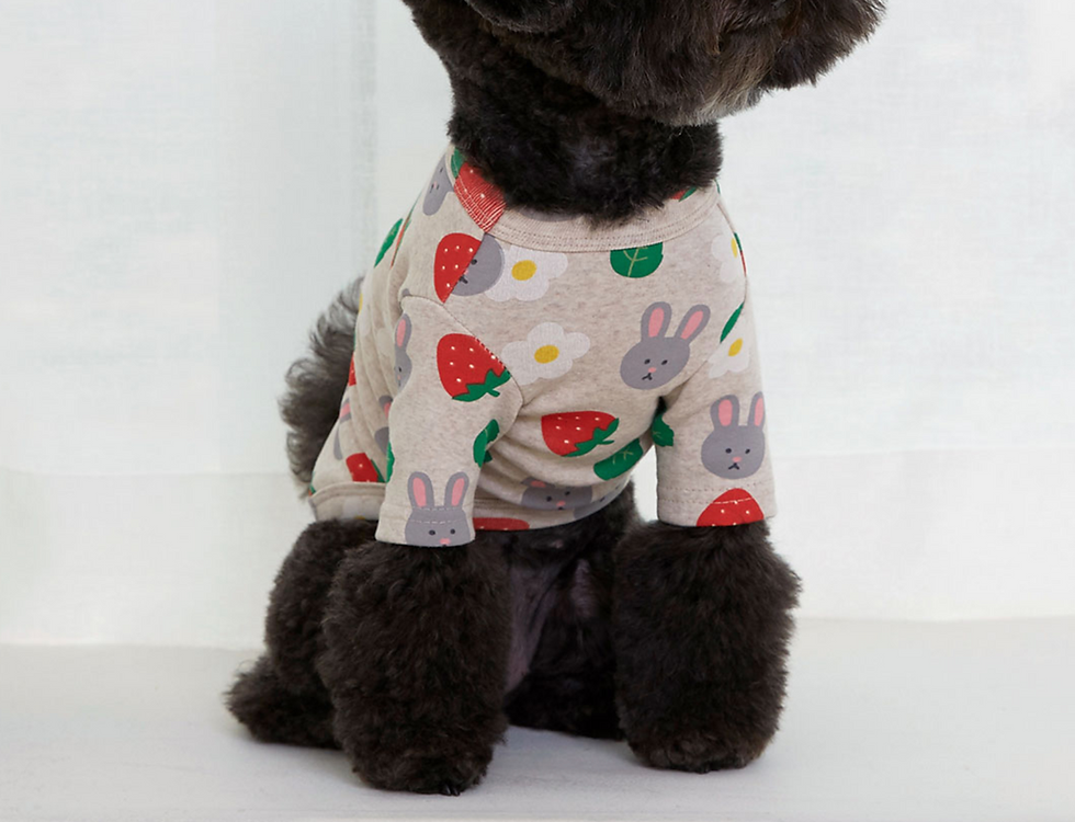 Thumbnail: STRAWBERRY RABBIT T-SHIRT OATMEAL SM
