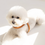 Thumbnail: LILIPOUENT VV HARNESS ORANGE