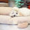 Thumbnail: TAAFFE HUG ME COTTON QUILTED PET CUSHION & RUG