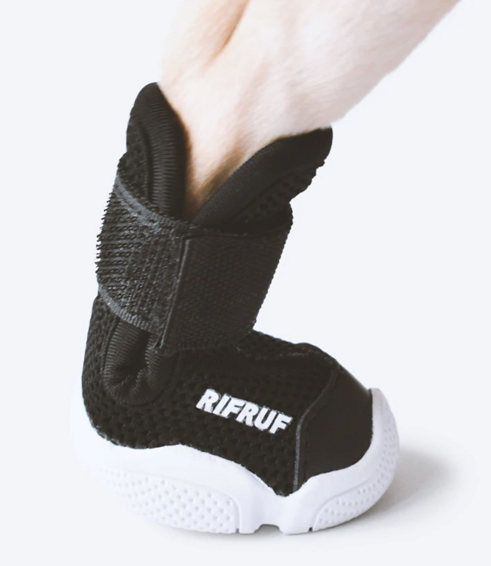 RIFRUF CAESER1 size0 - ドッグシューズ・靴下