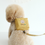 Thumbnail: CUBE CUSTOM BACKPACK HARNESS