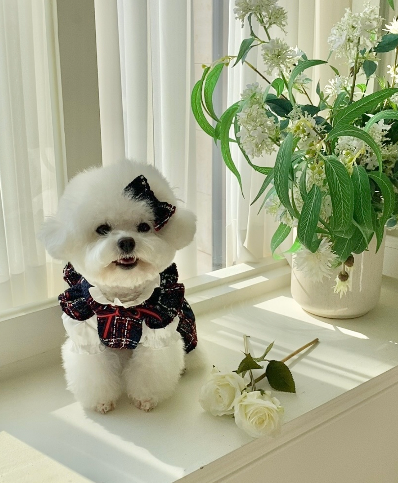 NOVA CHECK OVERALL OPS SET XL