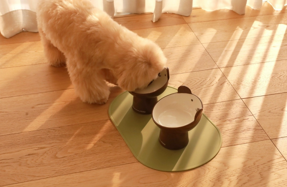 Thumbnail: HI BEAR STAND BOWL