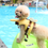 Thumbnail: HONEY BEE PET SWIM LIFE JACKET