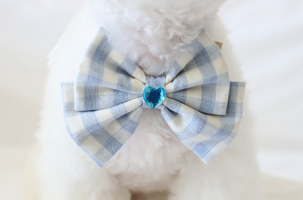 Thumbnail: CUBE RIBBON TIE CAPE M