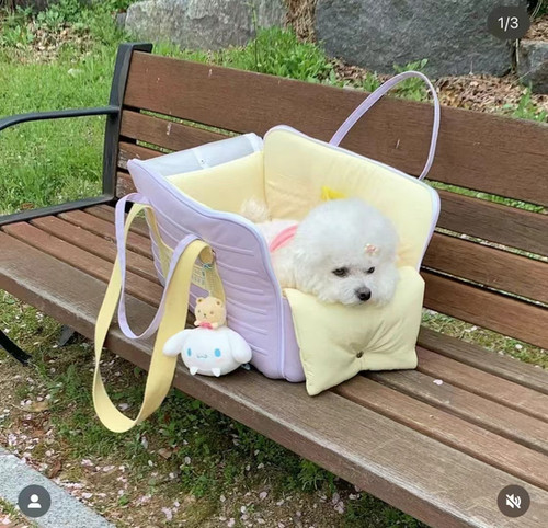 MUMMUR PET TRAVEL CARRIER BAG | CutiePawty
