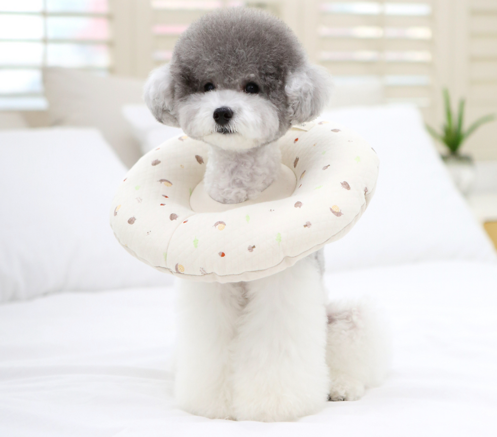 Thumbnail: ORGANIC HOME CARE NECK COLLAR