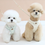 Thumbnail: SQUIRREL PET HARNESS M