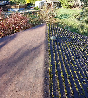 Roof Moss Removal, Victoria BC.jpg