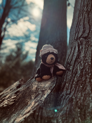 Playin' in the Breeze with the Trees