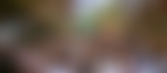 UNUM Festival Announces Phase 1 Lineup for 2025