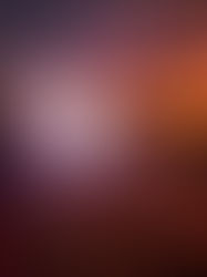 EXIT Festival Organisers Make Powerful Statement Following 2025 Edition