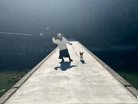 星占いのお話。「太陽星座」