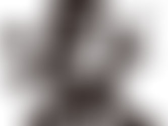 新年のご挨拶と抱負。