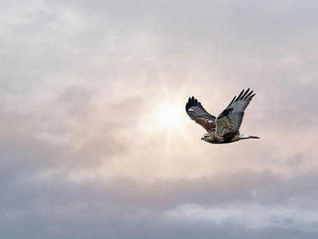 Vayeishev: Born to Fly/Break on through to the Other Side ~ Tzvi Abrahams