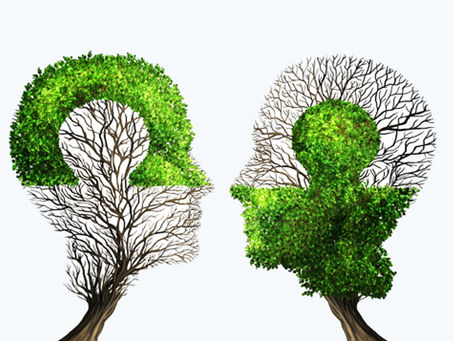 Terumah: Connecting Worlds ~ Tzvi Abrahams