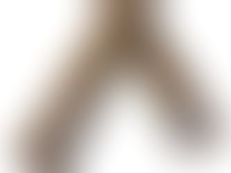 ¿Qué tipo de recubrimiento necesita tu espacio? Guía visual definitiva 🧱✨