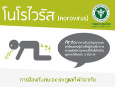 โนโรไวรัสคืออะไร???