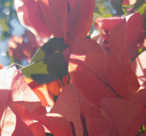 IMG_20250410_102953 copy.jpg