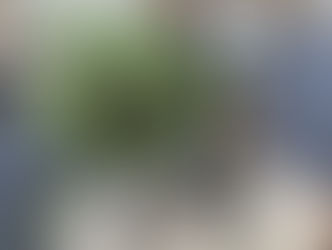 oh, those snowy winter weddings...