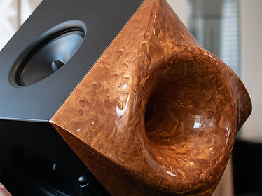 Aries Cerat custom Aurora Horn speakers