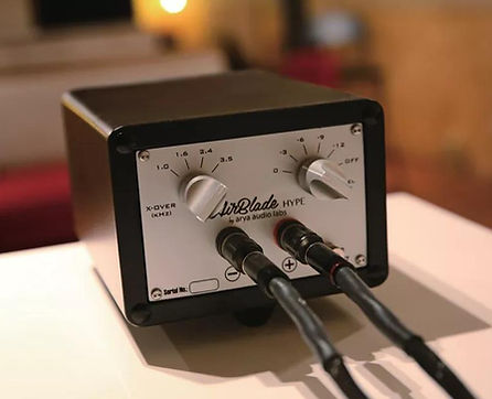 Back angle of AirBlade by Arya Audio Labs showing the built-in adjustable crossover