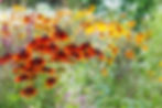 AdobeStock_105786049.jpeg