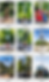 Screenshot 2026-03-04 at 5.55.18 PM.png