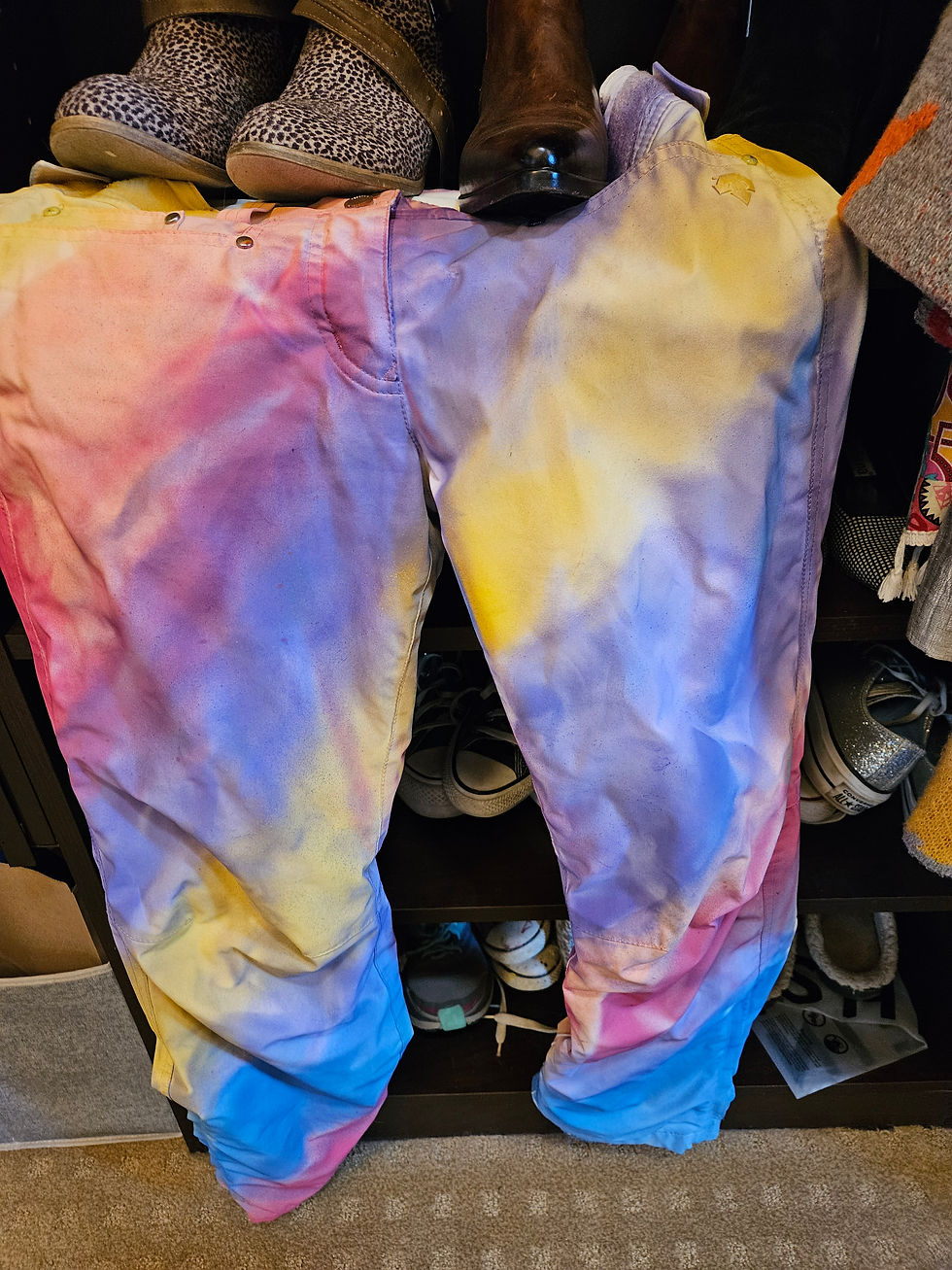 VVAG Artist Member Meeting - Paint Your Pants!