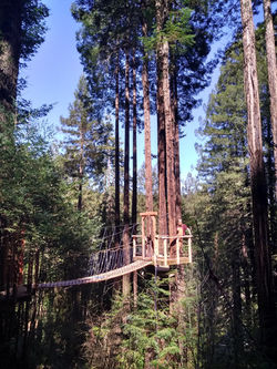 download_20180906_123942