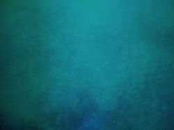 IMG_20250904_115806498