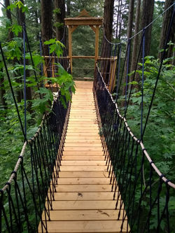 IMG_20180513_161734173_BURST001