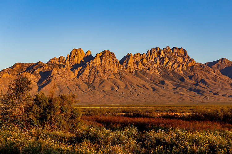 OrganMtns2.jpg