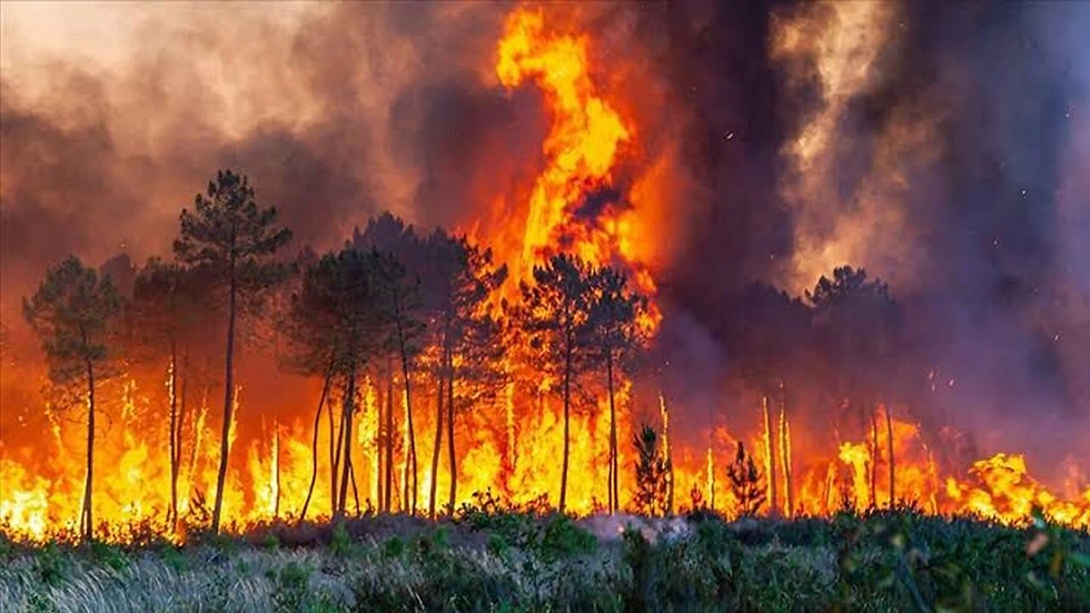Eskişehir/Seyitgazi Orman yangını
