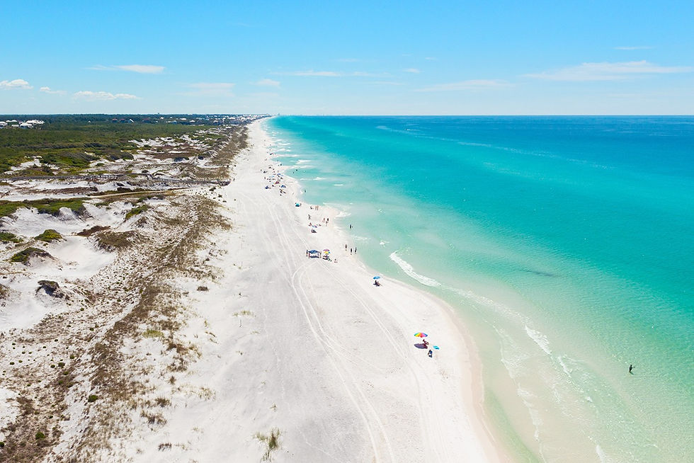 have a deeper look img.jpeg